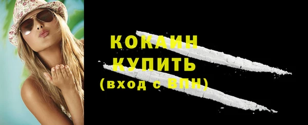 стаф Волосово