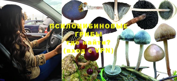спиды Беломорск